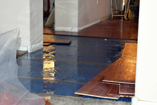 Professional Flood Cleanup technician working in The Plains, OH